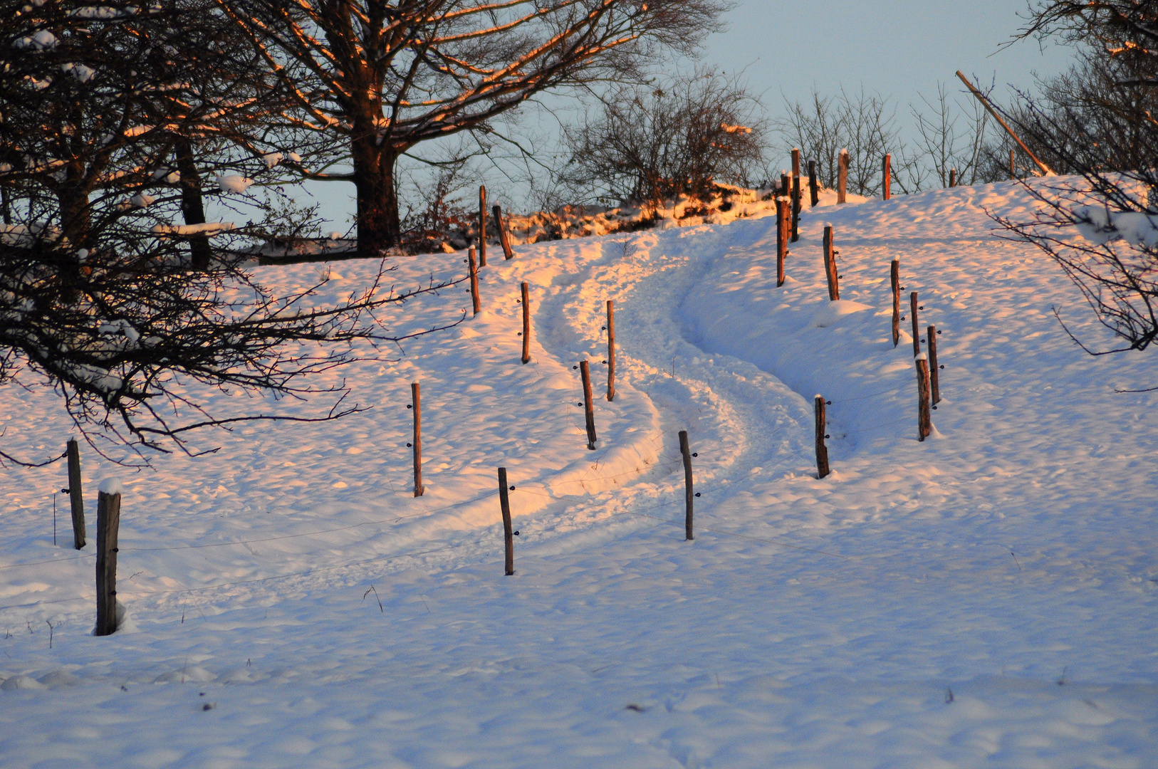 Wege im Abendlicht