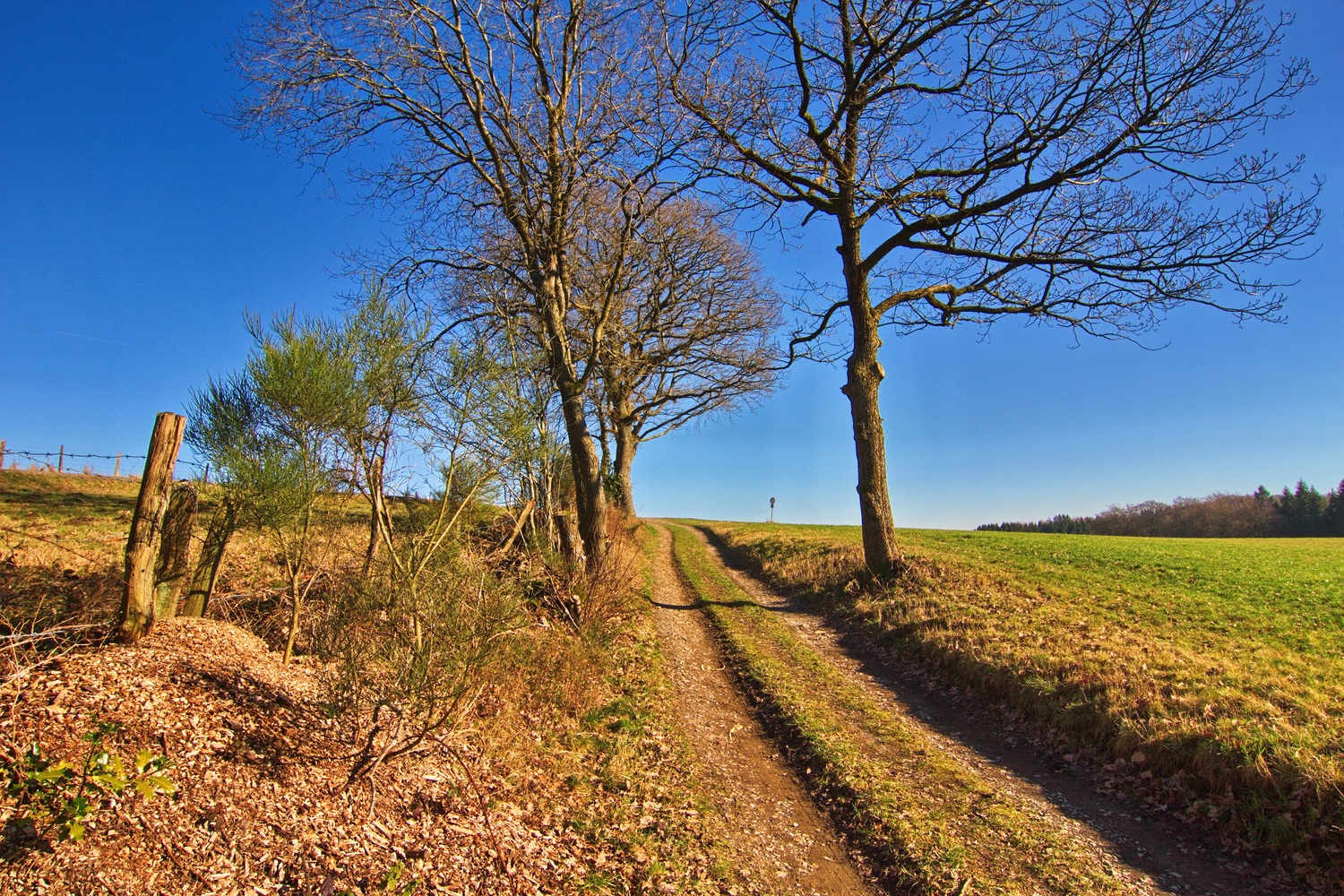 Wege im Bergischen II