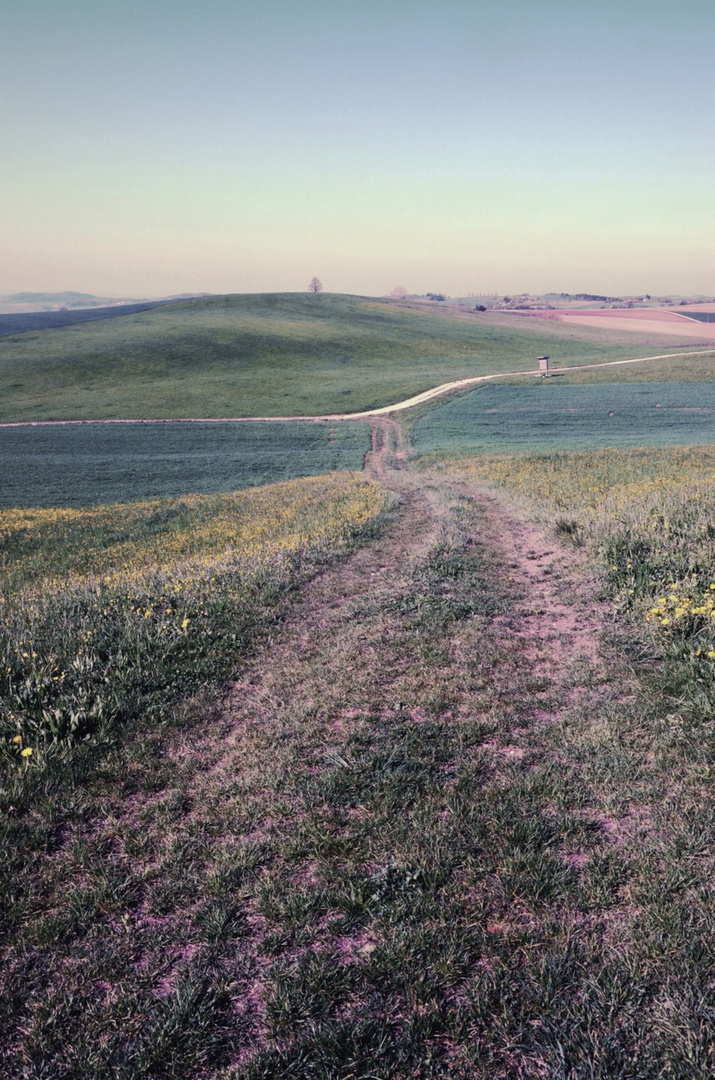 Wege im Feld