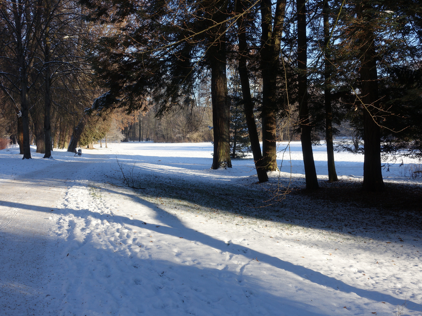 Wege im Greizer Park