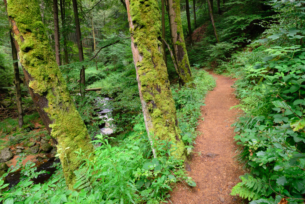 Wege im Harz