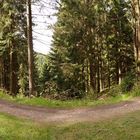 Wege im Harz