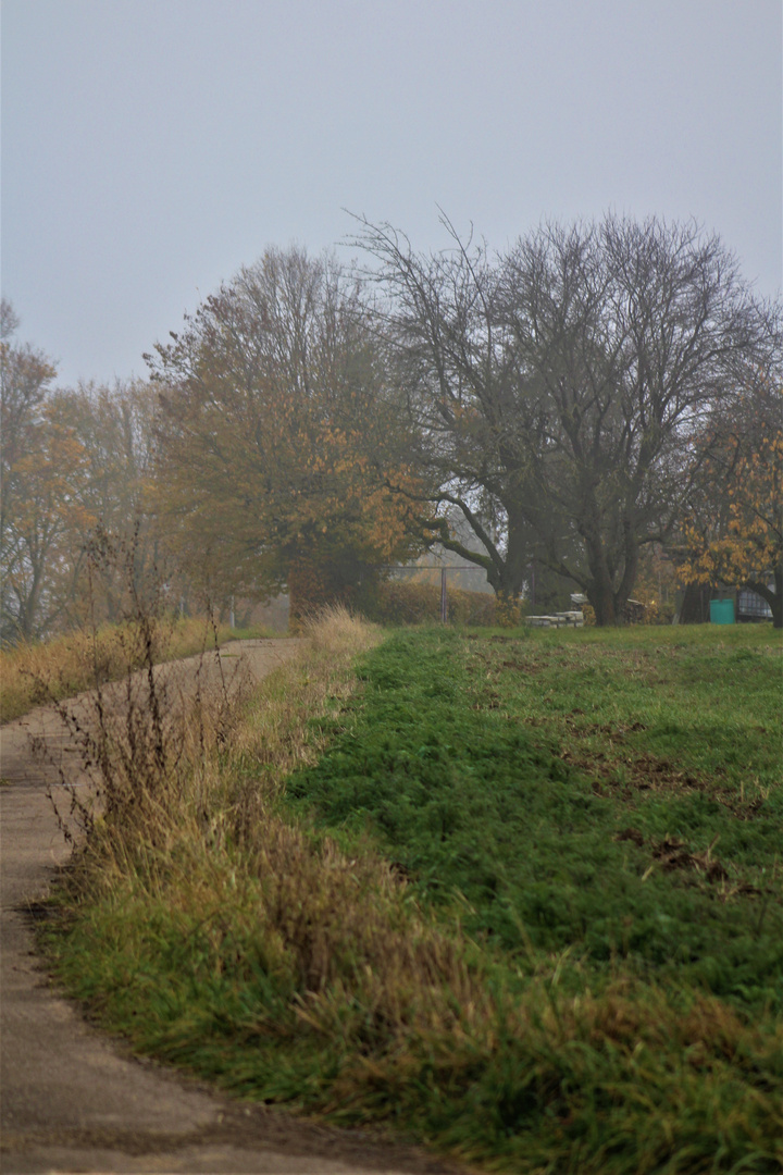 Wege im Herbst....