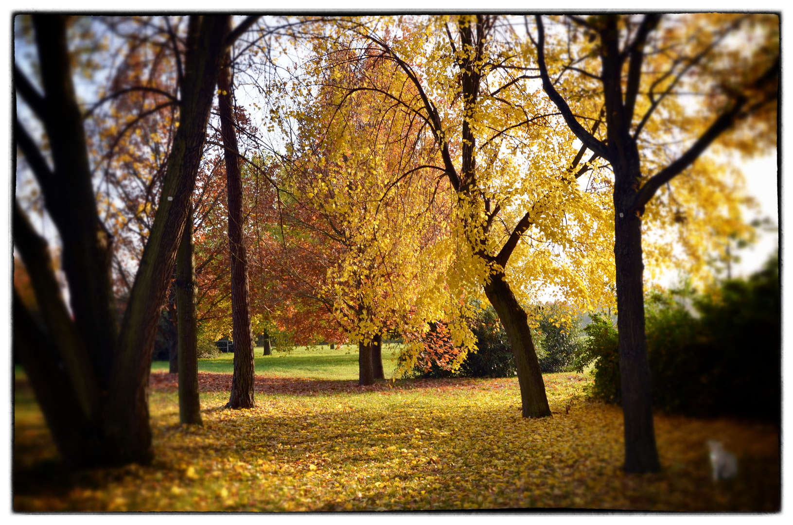 Wege im Herbst