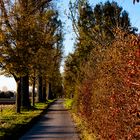 Wege im Herbst