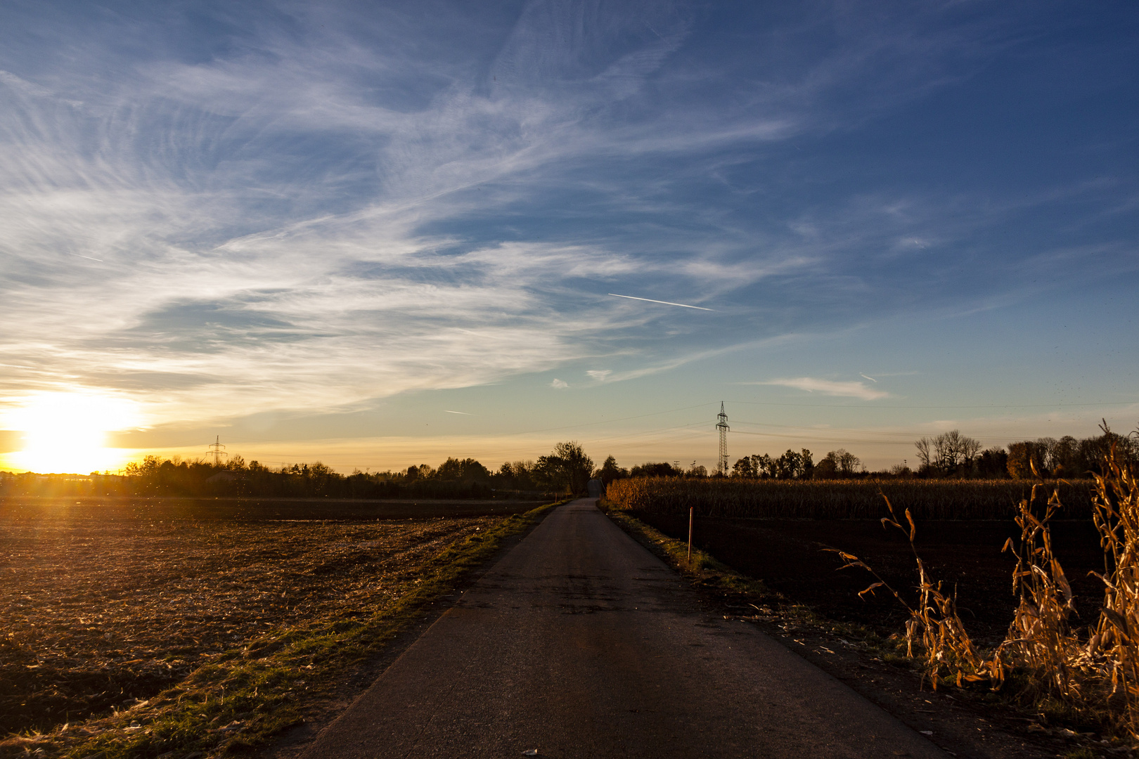 Wege im Herbst