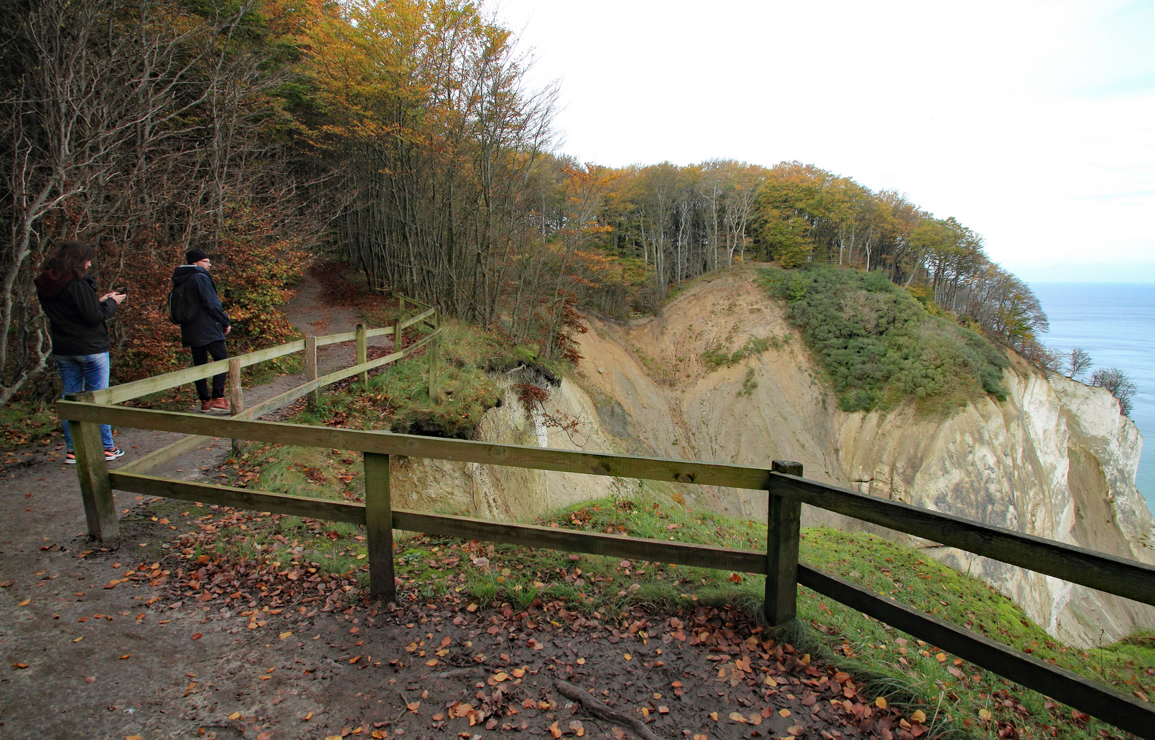 Wege im Herbst