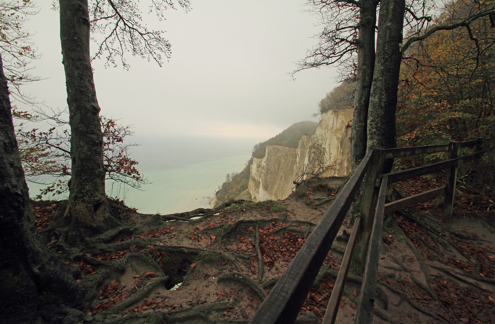 Wege im Herbst