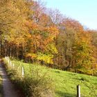 Wege im Herbst