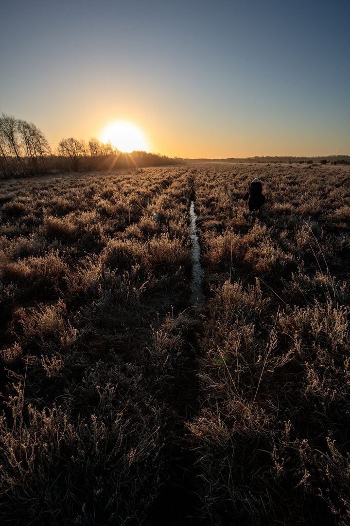 Wege  im  Moor 