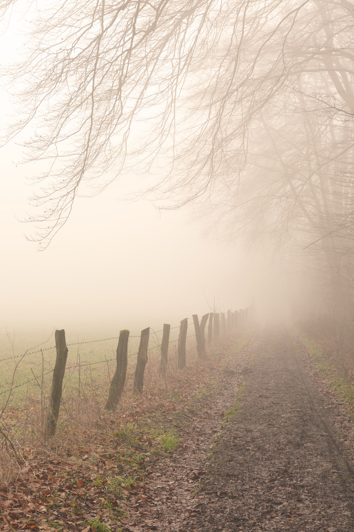 Wege im Naturschutzgebiet