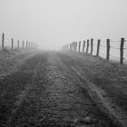 Wege im Nebel