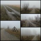 Wege im Nebel ...