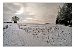 Wege im Schnee