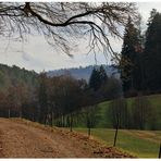 Wege im Siebenmühlental 2