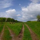 Wege im Thüringer Wald