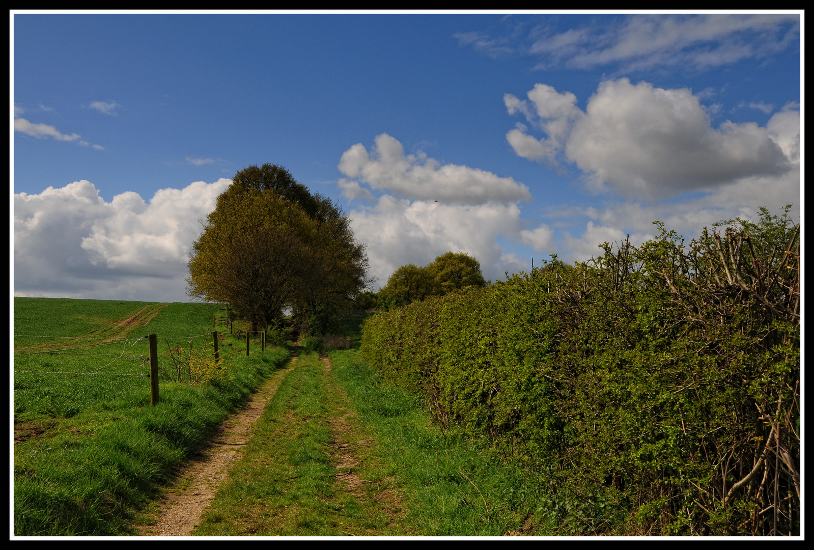 Wege in den Frühling