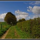 Wege in den Frühling