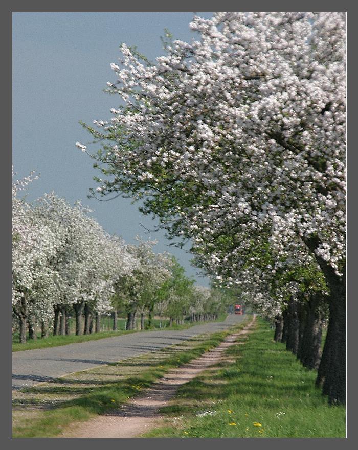 Wege in den Frühling