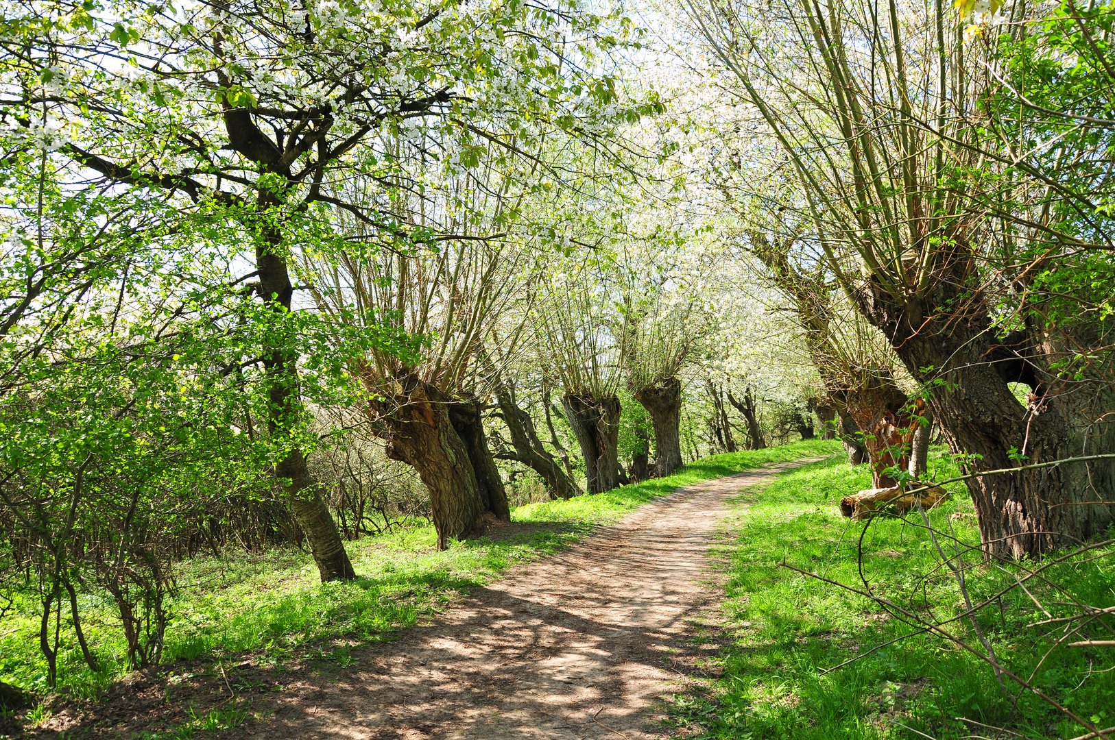 Wege in den Frühling