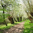 Wege in den Frühling