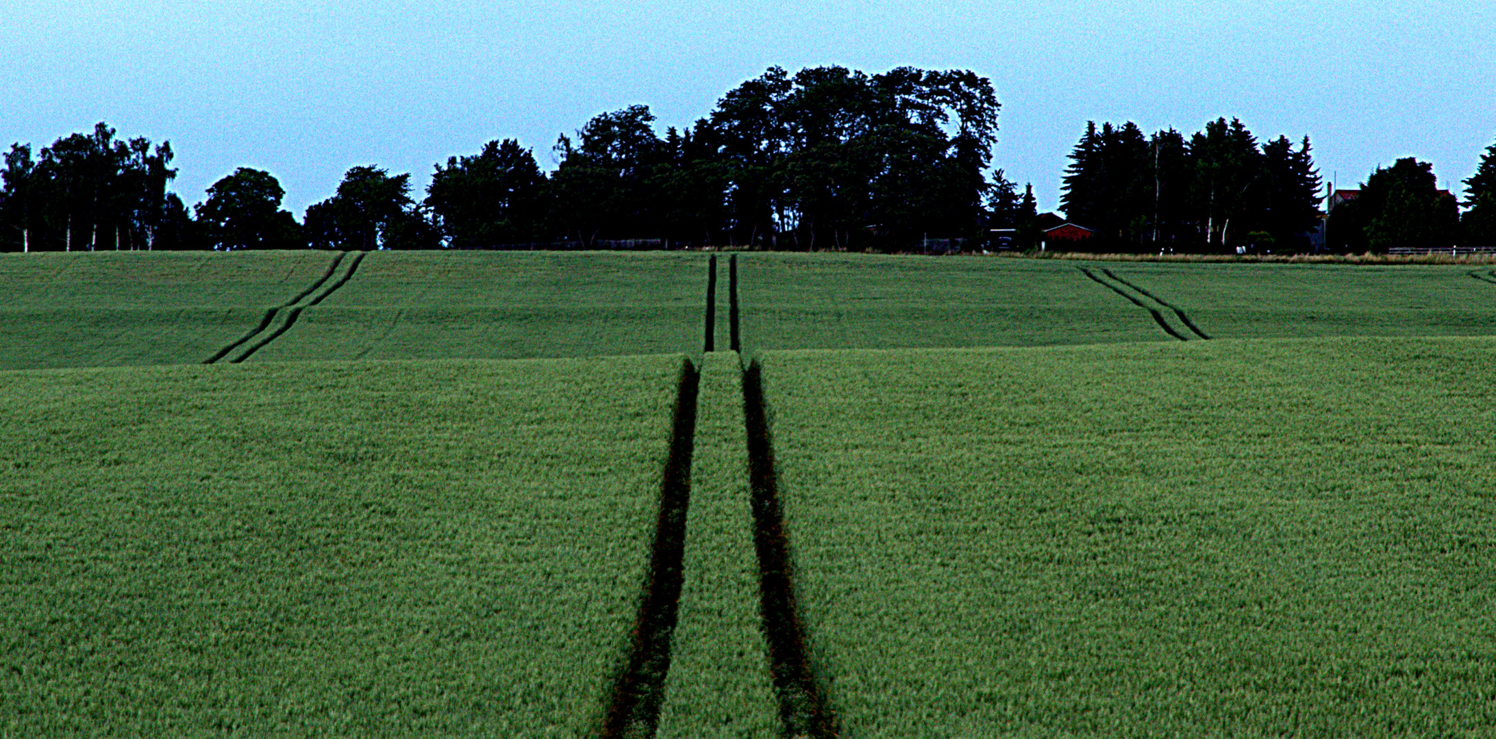 Wege in der Landschaft