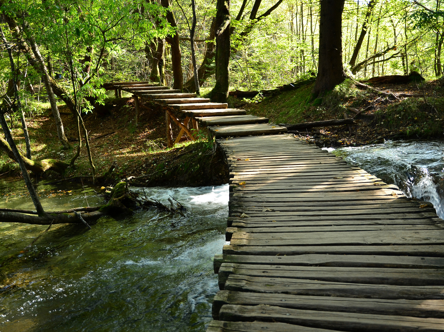 Wege in der Natur