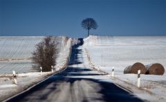 Wege in der Pfalz