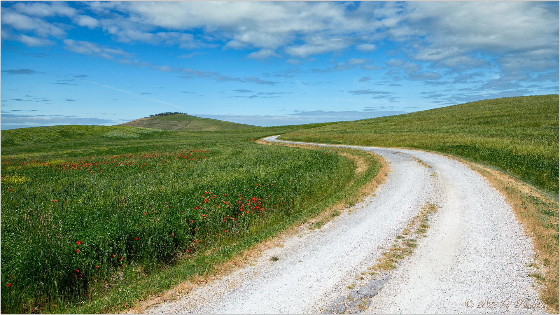 Wege in der Toskana I