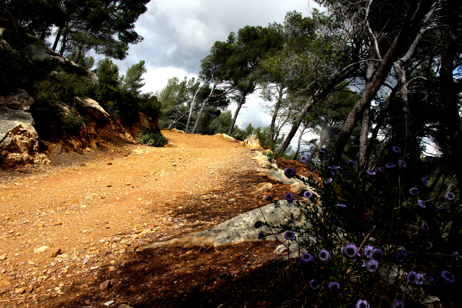 Wege in die Provence