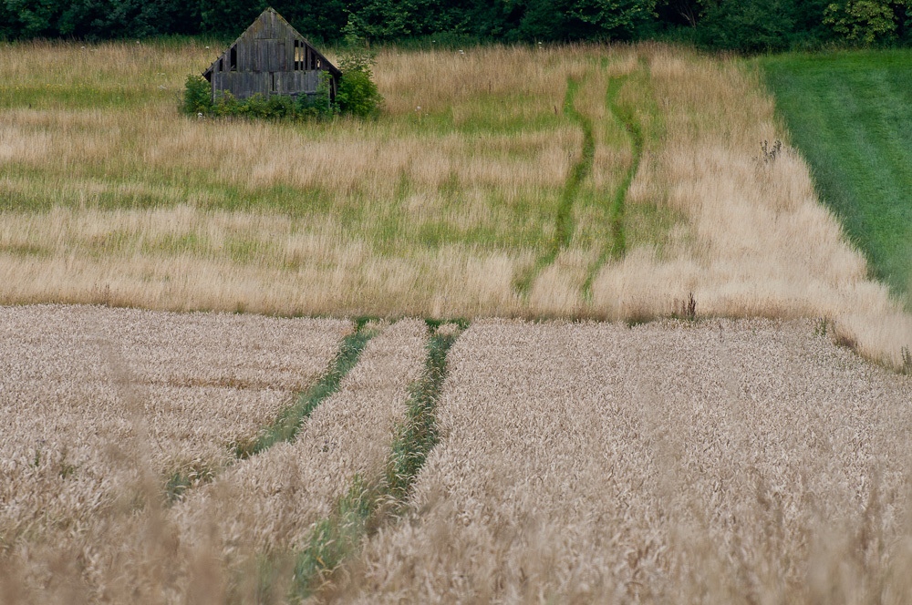 Wege in Feld und Flur