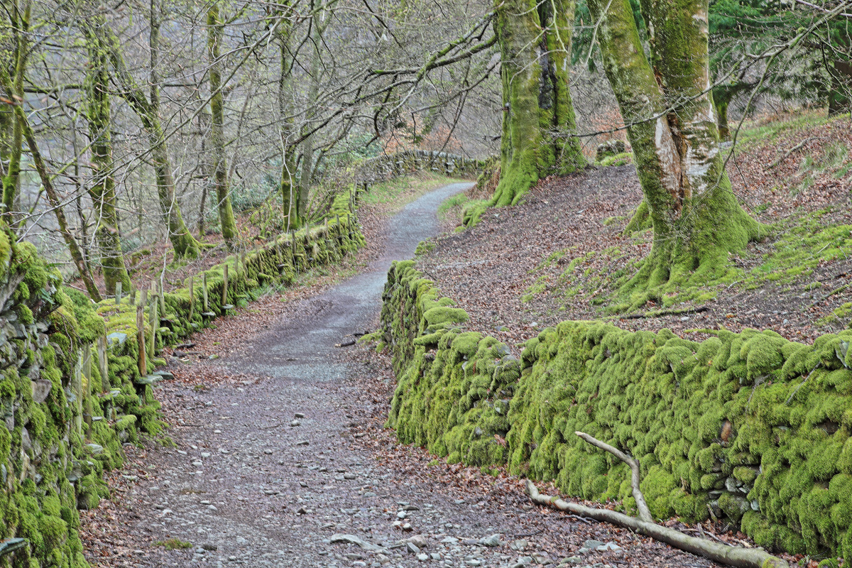 Wege in Lake District