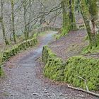 Wege in Lake District