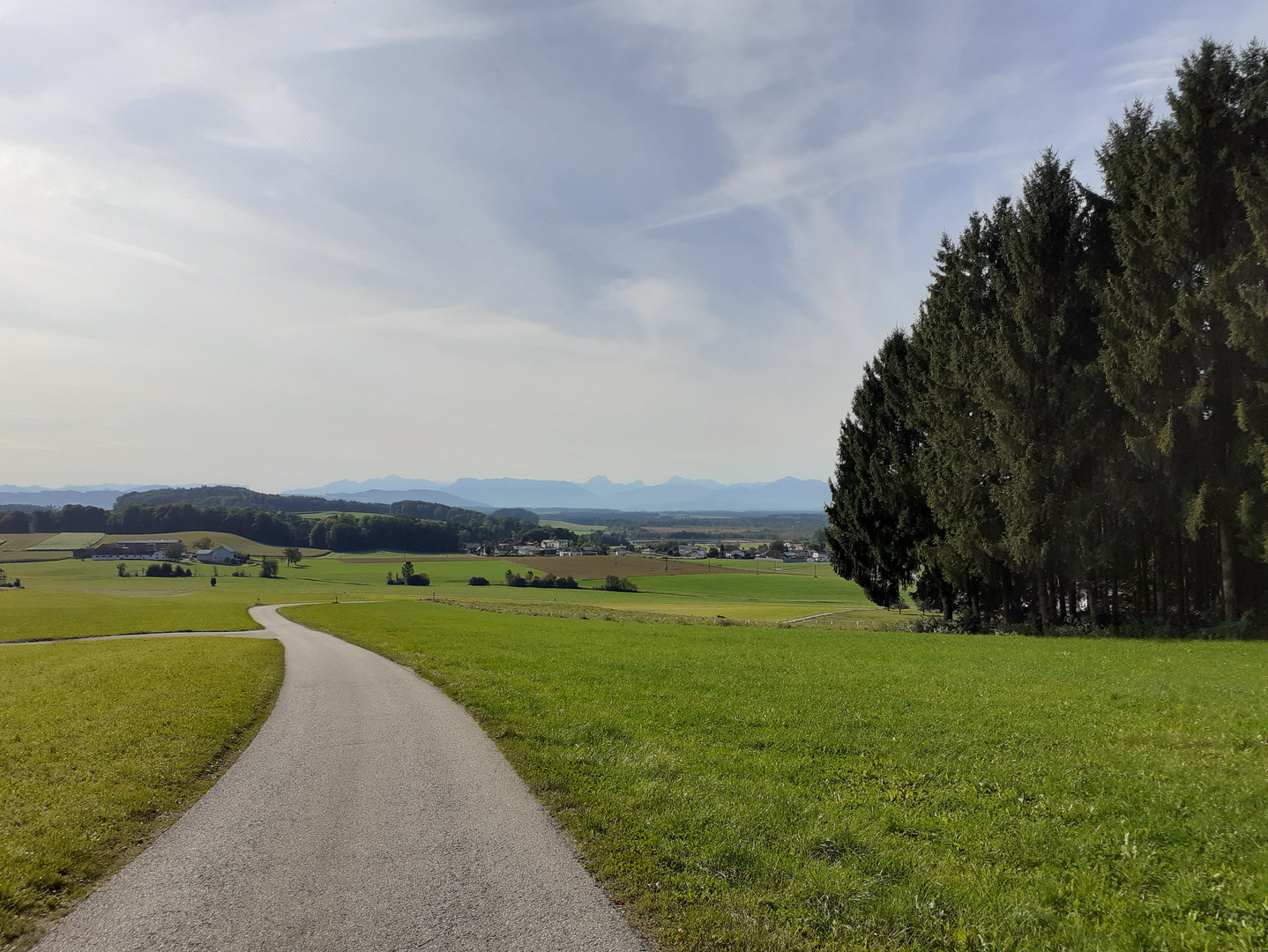 Wege ins glück