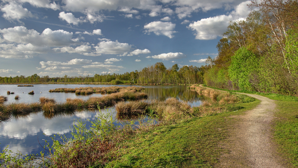 Wege ins Himmelmoor