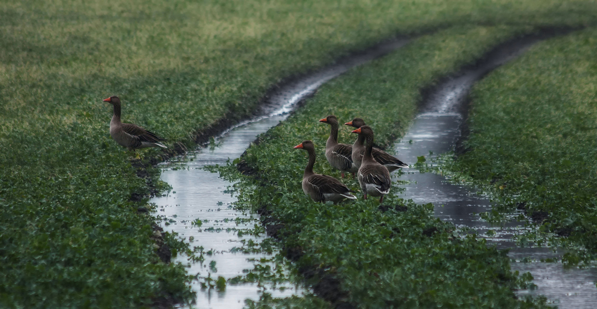 Wege ins Land!