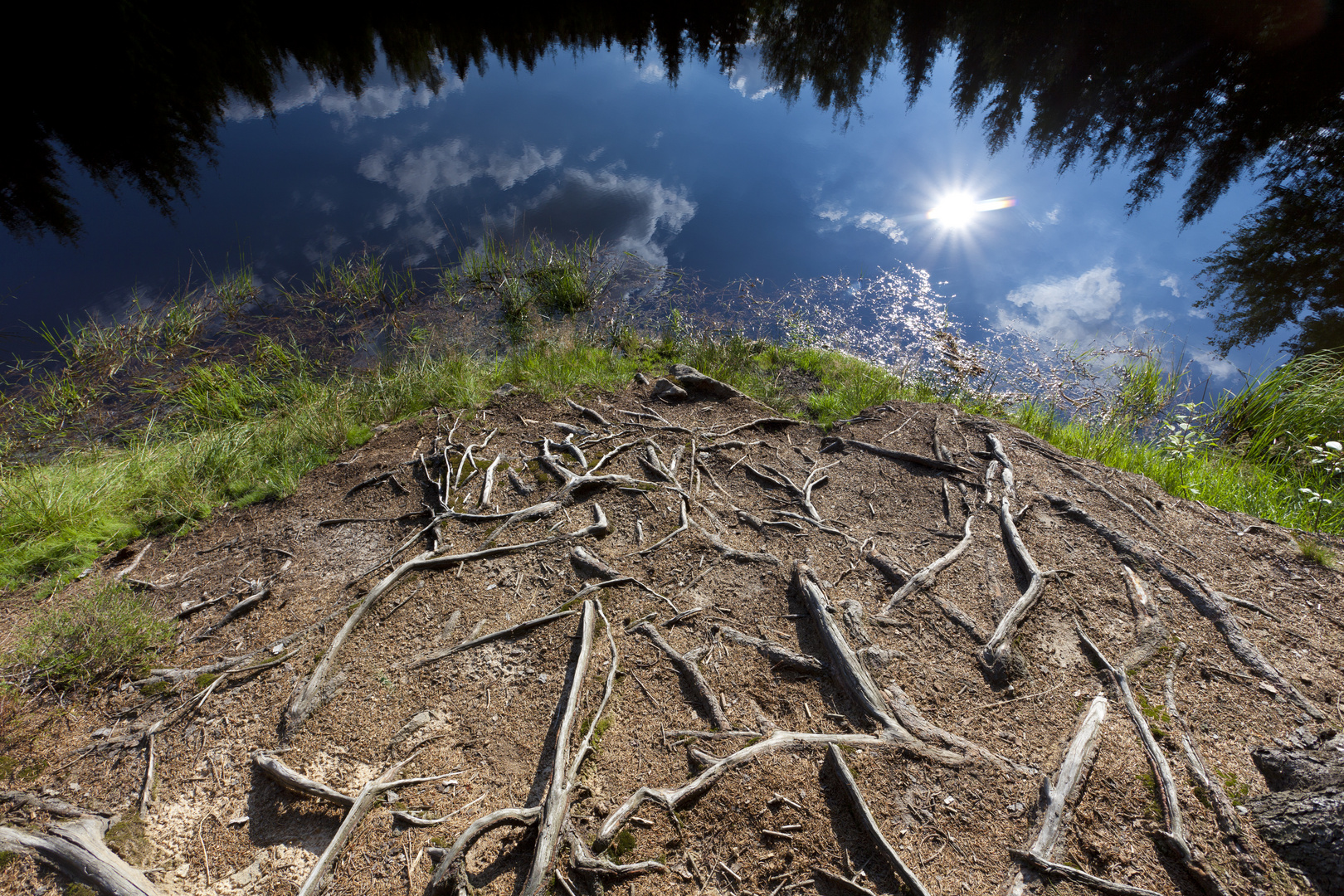 Wege ins Licht Foto & Bild landschaft, garten & parklandschaften