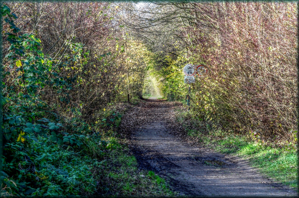 Wege ins Licht