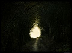Wege ins Licht