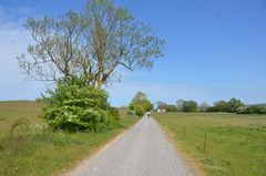 Wege Insel Hiddensee 