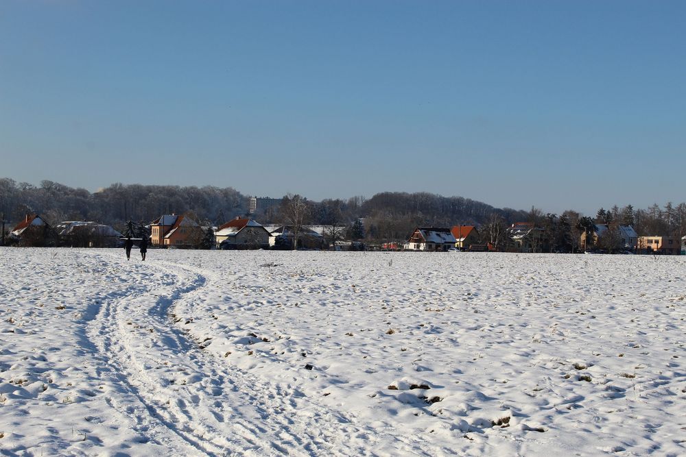 Wege übers Feld