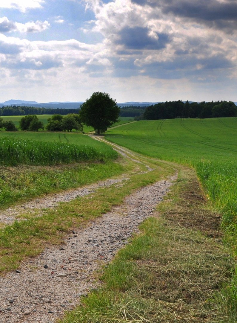 Wege übers Land 1