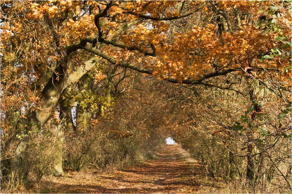 Wege übers Land 12