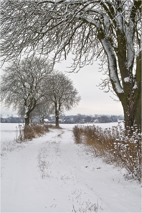 Wege übers Land 16