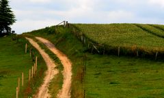 Wege übers Land