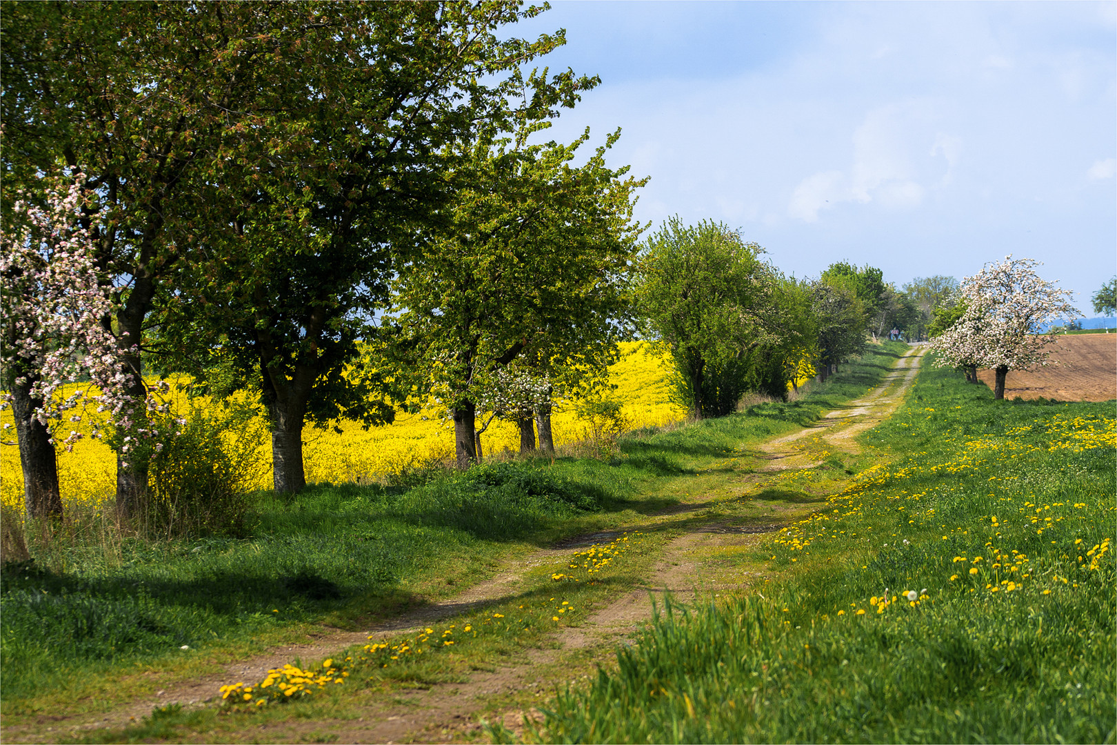 Wege übers Land