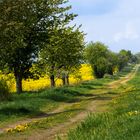 Wege übers Land