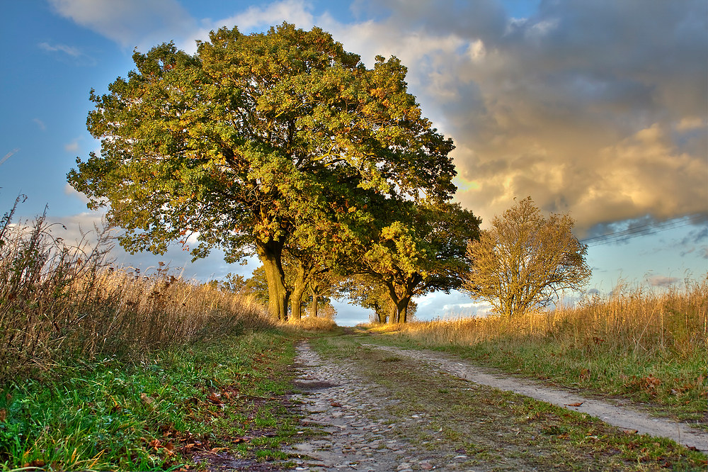 Wege übers Land 6