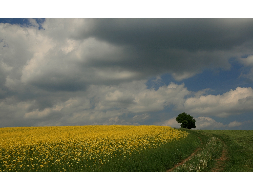 Wege übers Land