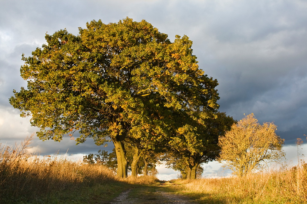 Wege übers Land 7